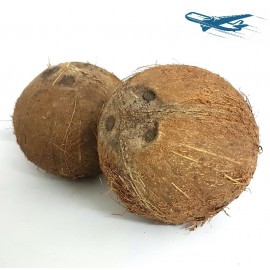 Noix de coco