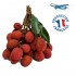 Litchi