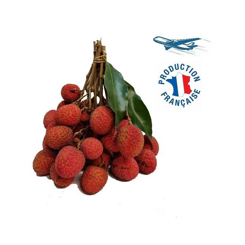 Litchi