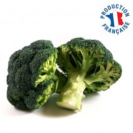 Brocoli