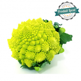 Chou romanesco