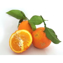 Orange de Sicile